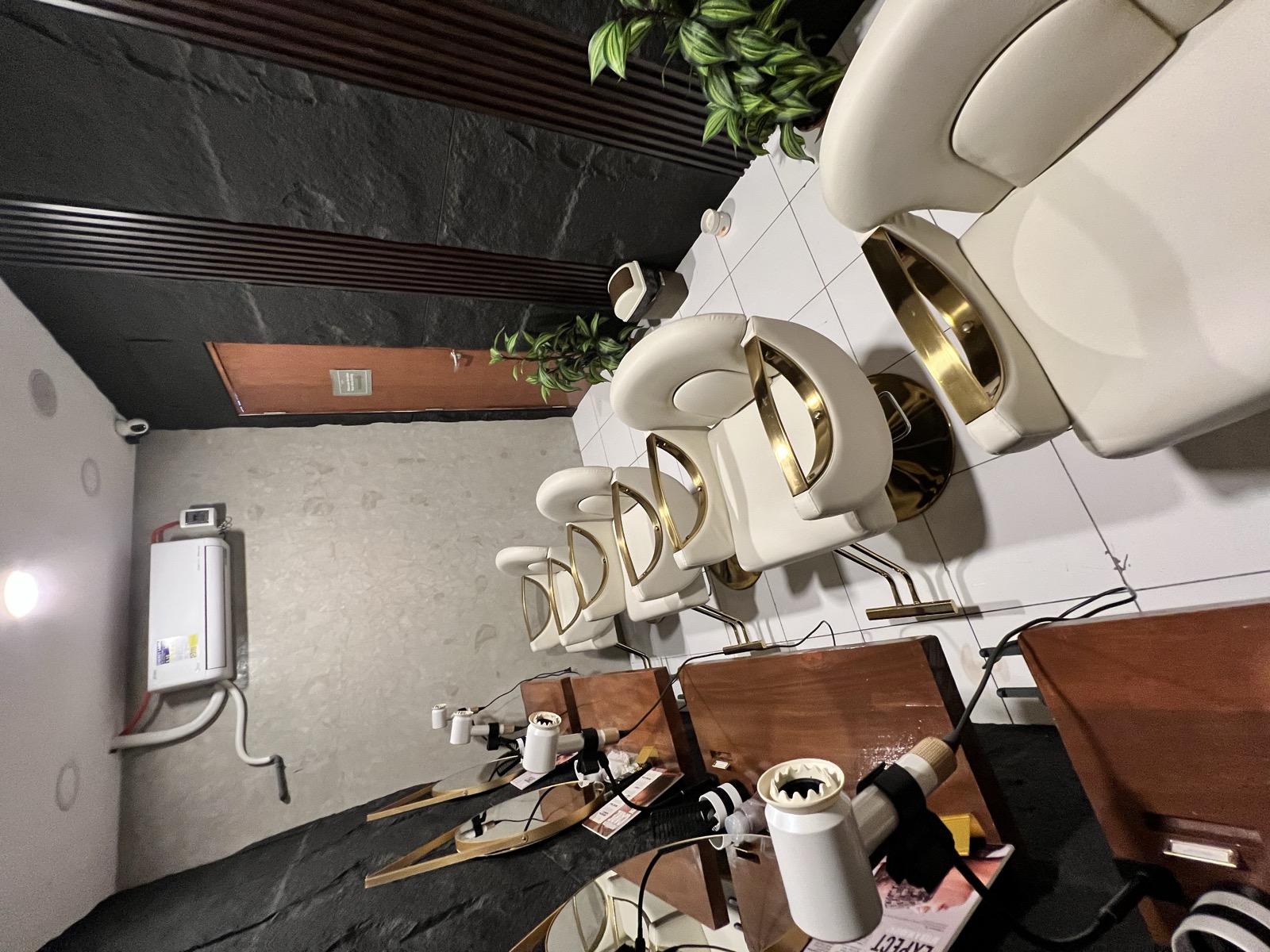 Wide view of the styling room with plants